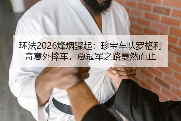 huan-fa-feng-yan-zhou-qi-zhen-bao-che-dui-luo-ge-li-qi-yi-wai-shuai-che-zong-guan-jun-zhi-lu-jia-ran-er-zhi-2-819.jpg
