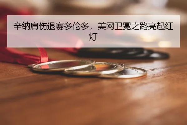 辛纳肩伤退赛多伦多，美网卫冕之路亮起红灯